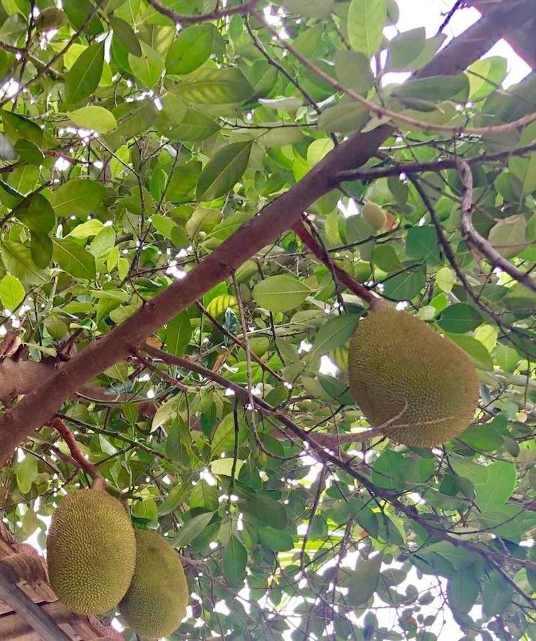 Nary Villa Sziemreap Kültér fotó